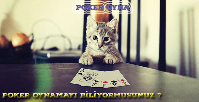 poker oyna 1